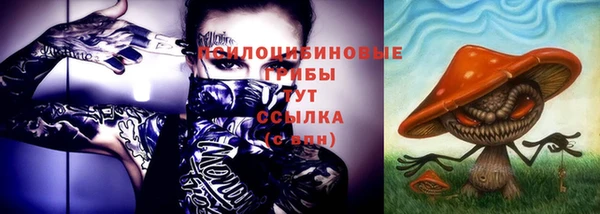 ГАЛЛЮЦИНОГЕННЫЕ ГРИБЫ Алексеевка