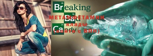 шишки Абаза